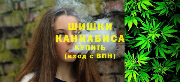 сатива Алексин