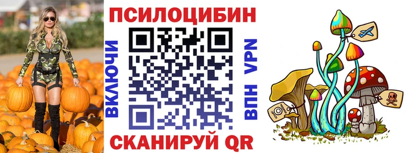 наркотики  МЕГА зеркало  Галлюциногенные грибы прущие грибы  Сухой Лог 