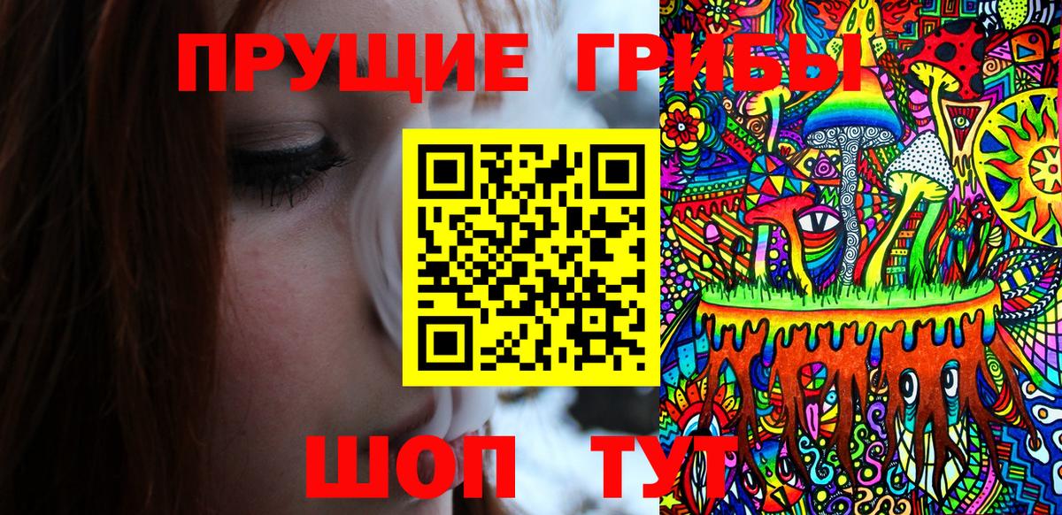 Псилоцибиновые грибы Psilocybe  Вход с VPN  Галлюциногенные грибы прущие грибы  Сухой Лог 