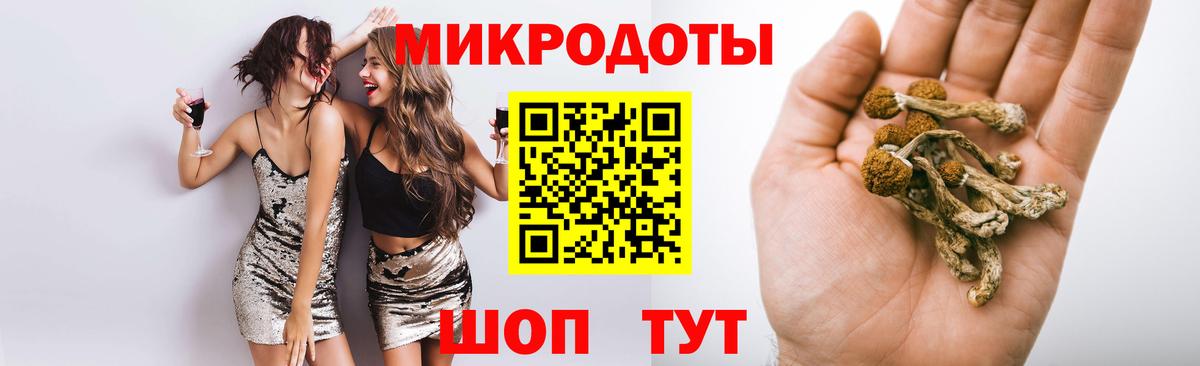 Галлюциногенные грибы мицелий Сухой Лог